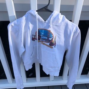 brandy melville san francisco cropped hoodie